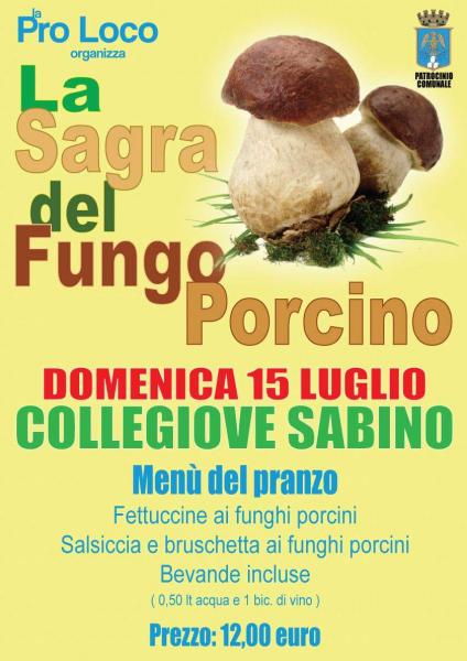 SAGRA DEI FUNGHI PORCINI