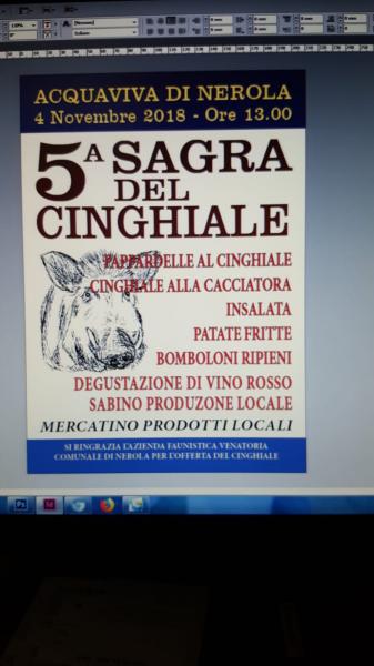 5° SAGRA DEL CINGHIALE