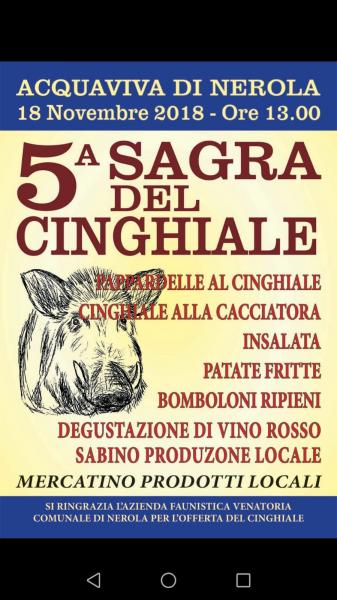 5 SAGRA DEL CINGHIALE