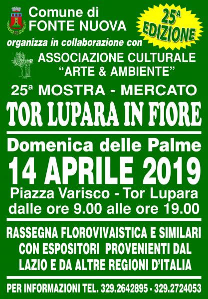 tor lupara il fiore