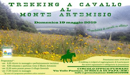 Trekking a cavallo al Monte Artemisio