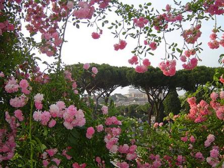 Visita Guidata, IL ROSETO COMUNALE E L'AVENTINO