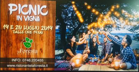 picnic in vigna 2019