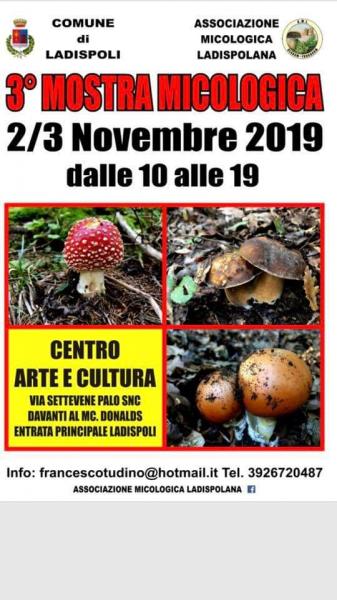 3 MOSTRA MICOLOGICA