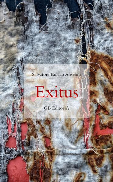 Presentazione del romanzo 