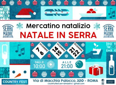 Mercatino di Natale in Serra