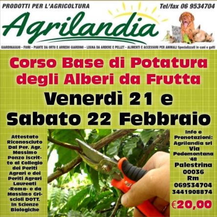 Corso potatura alberi da frutto