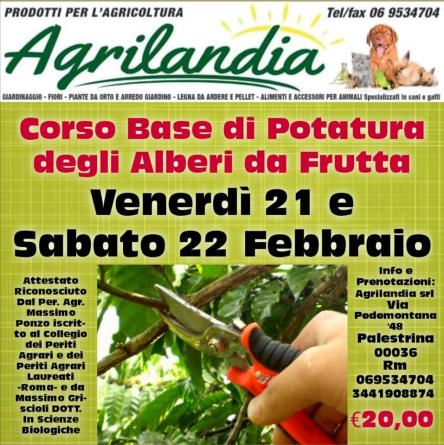 Corso potatura alberi da frutto