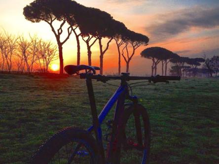 Pedalando lungo la Via Appia - Tour guidato in bicicletta Roma