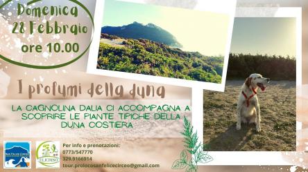I profumi delle dune