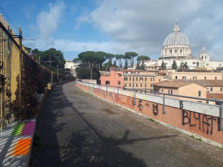 VISITA GUIDATA: PASSEGGIATA DEL GELSOMINO, ALL'OMBRA DEL CUPOLONE.