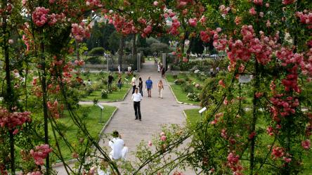 VISITA GUIDATA: IL ROSETO COMUNALE