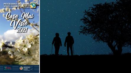 Night Star Walk