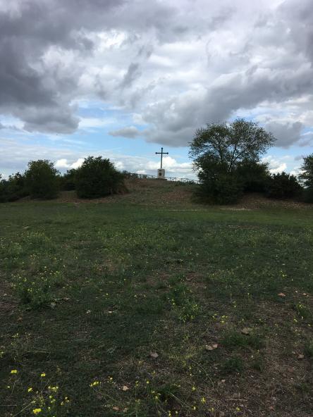 Domenica 24 ott h 15:00  Testaccio e il Monte dei Cocci