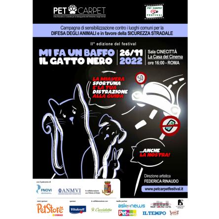 Arriva il festival “Mi fa un Baffo il Gatto Nero”