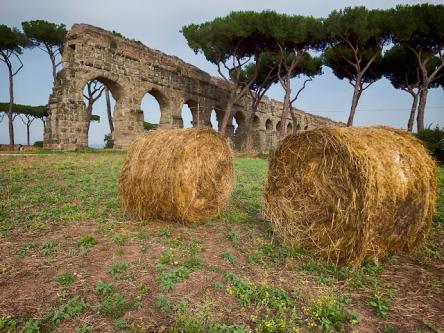 Roma c'è! visite guidate (anche per bambini) del 14 e 15 gennaio 2023, curate da Roma e Lazio x te