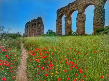 Tramonto sugli Acquedotti di Roma Antica - visita guidata a piedi