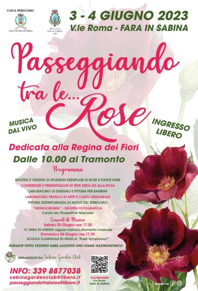 PASSEGGIANDO TRA LE ROSE