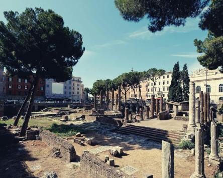 Area sacra di Torre Argentina. Nuova apertura