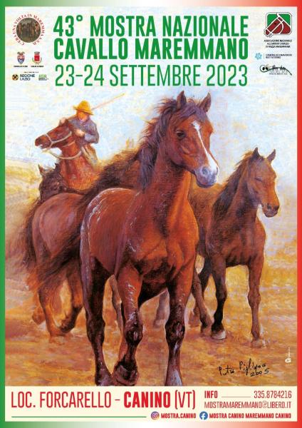 43° Mostra Nazionale del Cavallo Maremmano