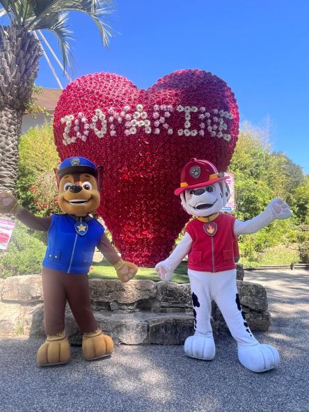 Chase e Marshall di Paw Patrol a Zoomarine insieme ai volontari della Protezione Civile