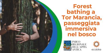 Forest-bathing a Tor Marancia, passeggiata immersiva nel bosco