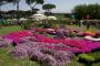 Floracult 2012