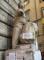 Pasquino e le statue parlanti, teatro itinerante 8/02/14 h 15.30