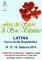FESTA DEI SAPORI DI SAN VALENTINO