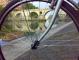 NOVITA' Tour in bici: Passeggiando lungo il Tevere da Ponte Marconi a Ponte Milvio