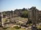 Colosseo e Fori: i fasti della Roma antica