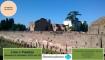 Visita Guidata al Palatino e Foro Romano