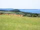 I panorami del lago, da Montefiascone a Bolsena