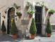 Trastevere: tutta la magia di Roma