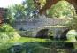 Pullman per una Giornata ai Giardini di Ninfa