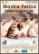 Esposizione Felina Internazionale