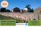 Visita Guidata al Palatino e Foro Romano