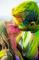 HOLI IL FESTIVAL DEI COLORI A ROMA