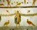 Visita Guidata, LE DOMUS ROMANE DEL CELIO