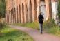 L'Acquedotto Felice, passeggiando lungo le sue arcate per scoprire i segreti 