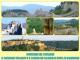 Il paesaggio straziato e il fascino dei Calanchi di Civita di Bagnoregio