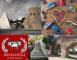 Trekking Romano a Testaccio