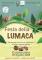 Festa della Lumaca