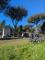 Pedalando nella natura e nella storia: Appia Antica & Acquedotti