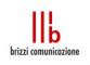 Brizzi Comunicazione Srl